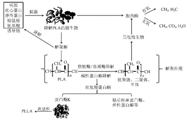 和塑美科技